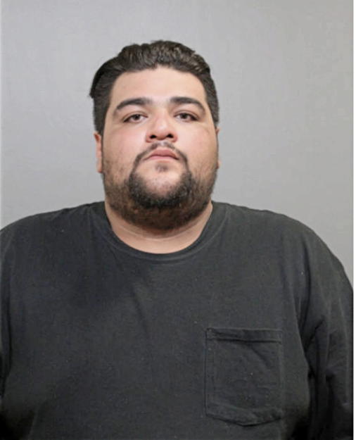 DAVID J REYES, Cook County, Illinois