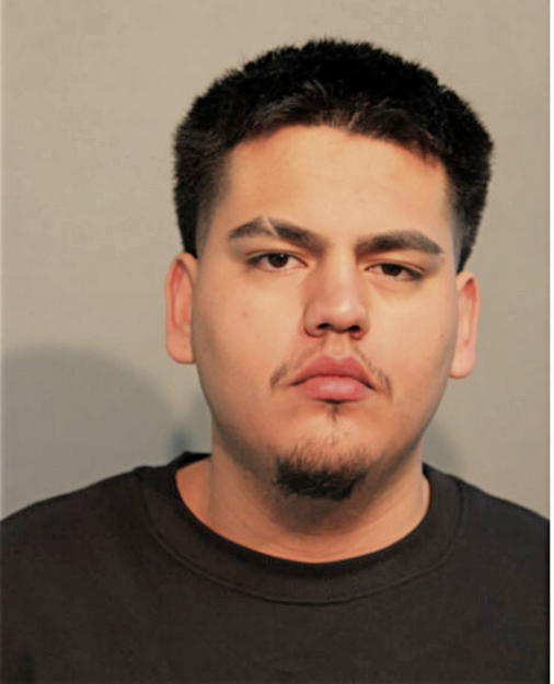 FERNANDO JR REYNA, Cook County, Illinois