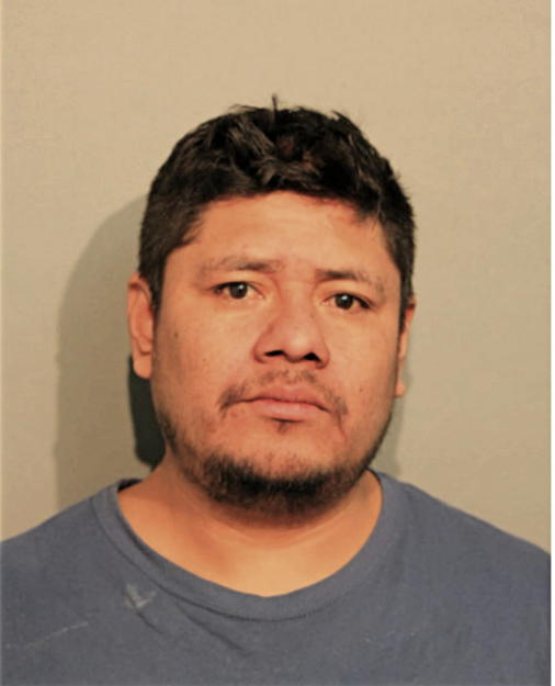 MOISES SALAZAR-MENDOZA, Cook County, Illinois