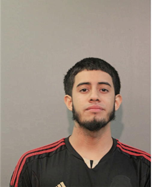 JAVIER E SOTO-CORONA, Cook County, Illinois
