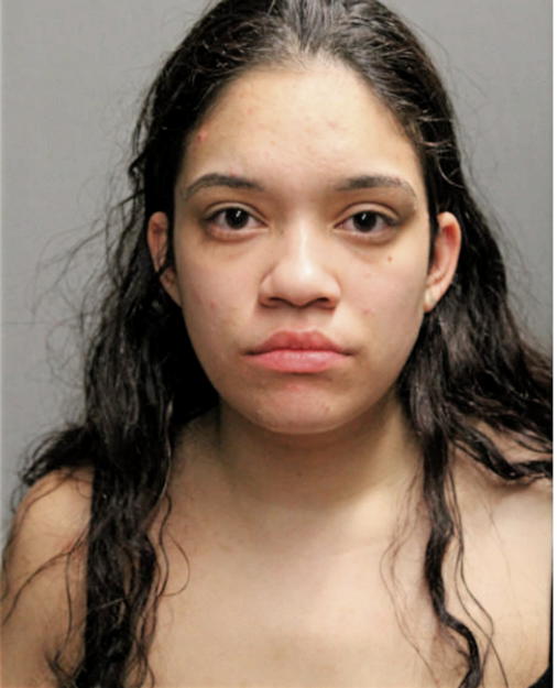 DIANA C YAMAMOTO, Cook County, Illinois