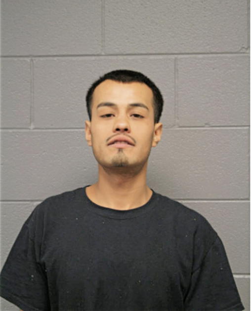 HERMAN ZAVALA, Cook County, Illinois
