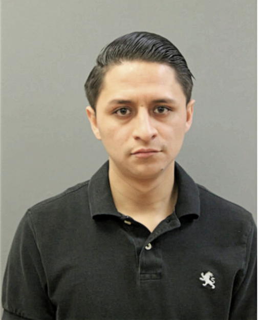 ALEX B ARGUDO, Cook County, Illinois