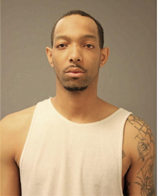 ERIC A GOODMAN, Cook County, Illinois