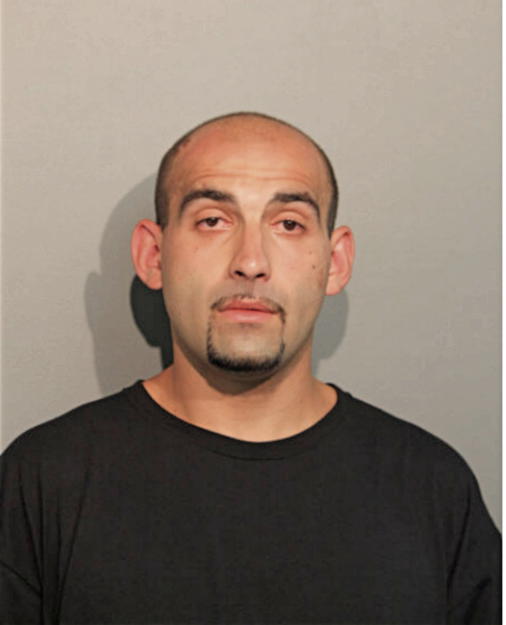 VLAD GRENADER, Cook County, Illinois