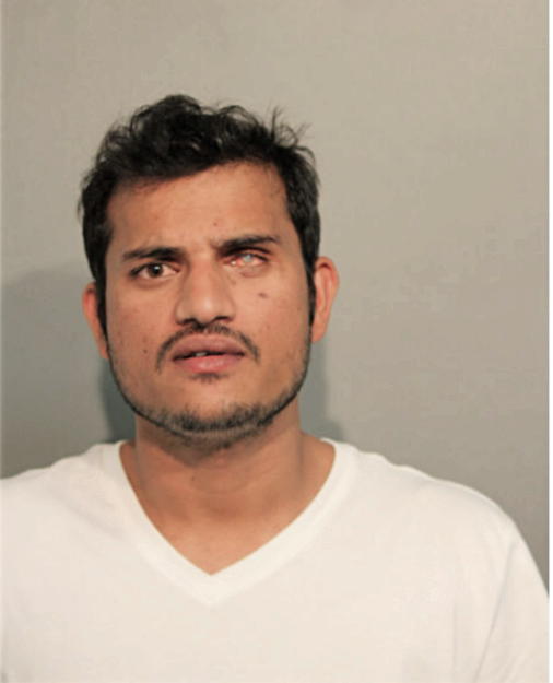 IJAZ HAYDER, Cook County, Illinois
