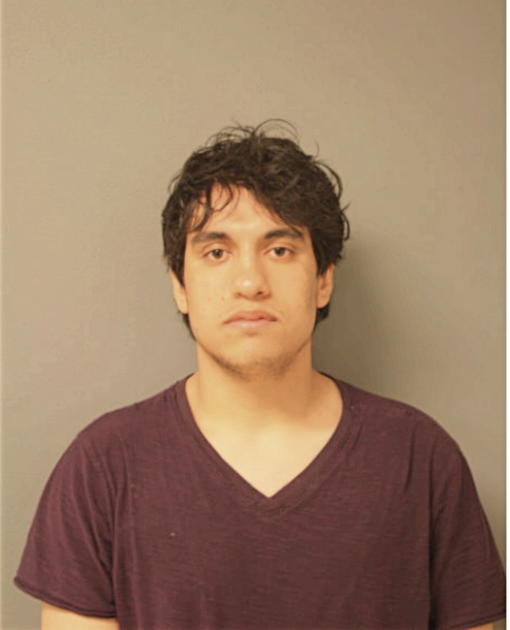 ADAM NICHOLAS HUJBAR, Cook County, Illinois