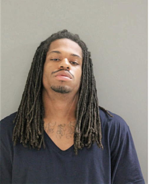 MIZANI LALLEMAND, Cook County, Illinois