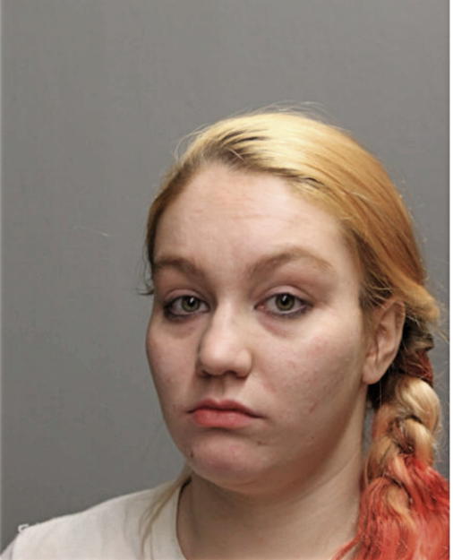 VANESSA N LOPEZ, Cook County, Illinois