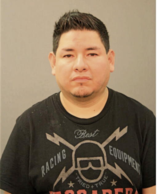 DAVID MALAGON-CORREA, Cook County, Illinois