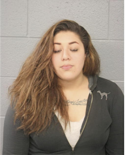 LIZBETH MARTINEZ, Cook County, Illinois
