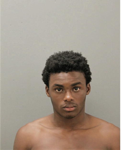 BRYAN MCGHEE, Cook County, Illinois