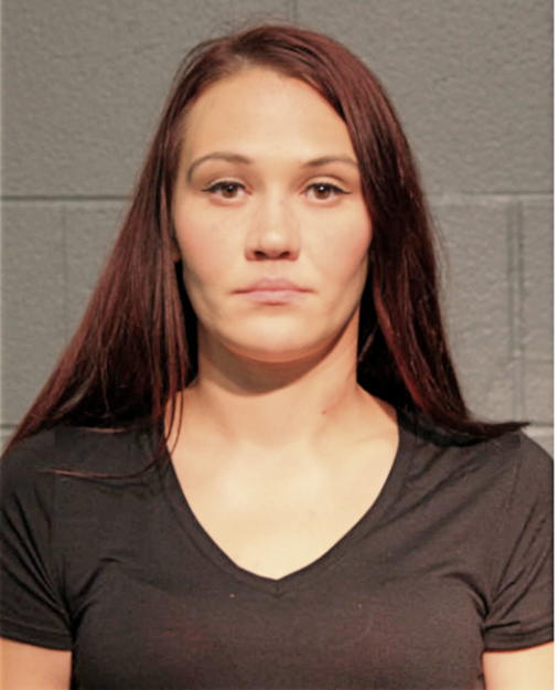 AMANDA E MICEK, Cook County, Illinois