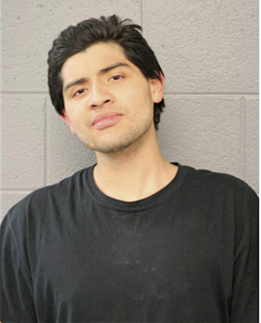 ALEX A REYES-LOPEZ, Cook County, Illinois