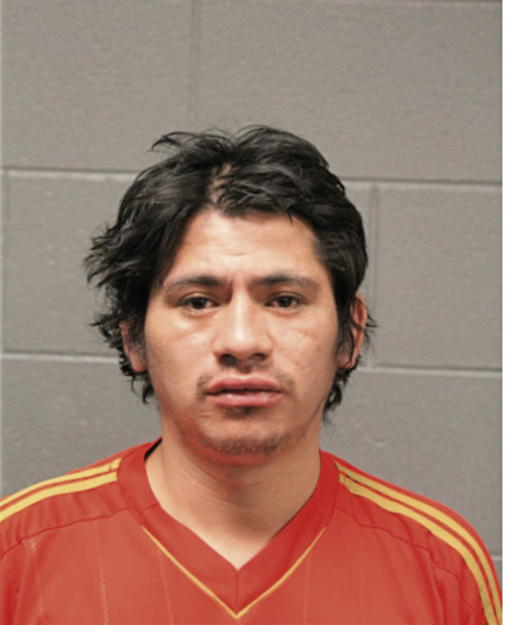 HUGO A SANCHEZ, Cook County, Illinois