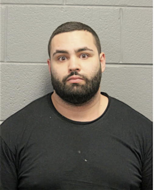 NICHOLAS SAYEGH, Cook County, Illinois