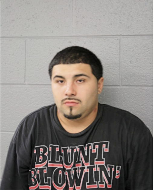 THOMAS D TREVINO, Cook County, Illinois