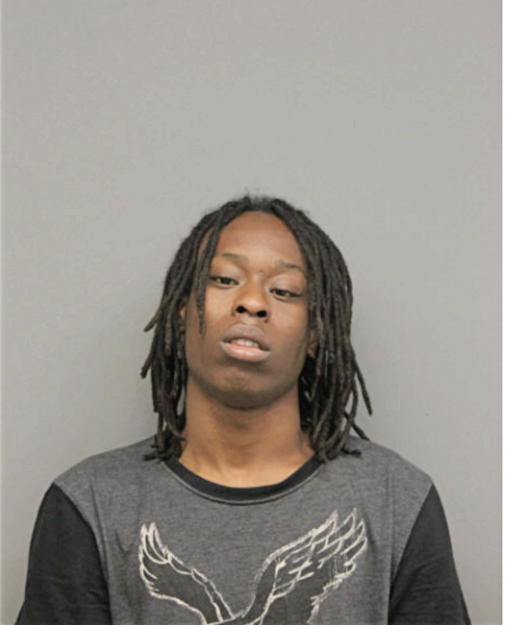 DONNIE D WHITE, Cook County, Illinois