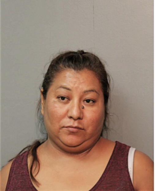 ANGELICA MARGARITA ALONSO-REYES, Cook County, Illinois