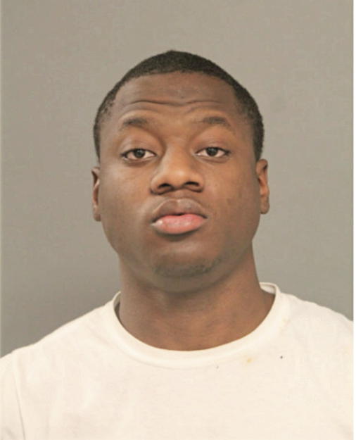 DIMERO B ANDERSON, Cook County, Illinois