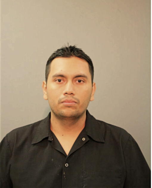 DANIEL BAHENA, Cook County, Illinois