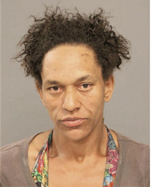 SHEENA M DANGERFIELD, Cook County, Illinois