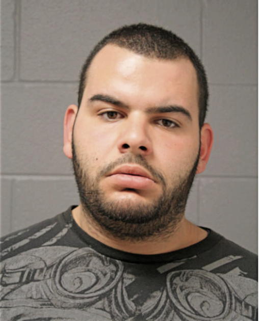 MOHAMED H ELAYYAN, Cook County, Illinois