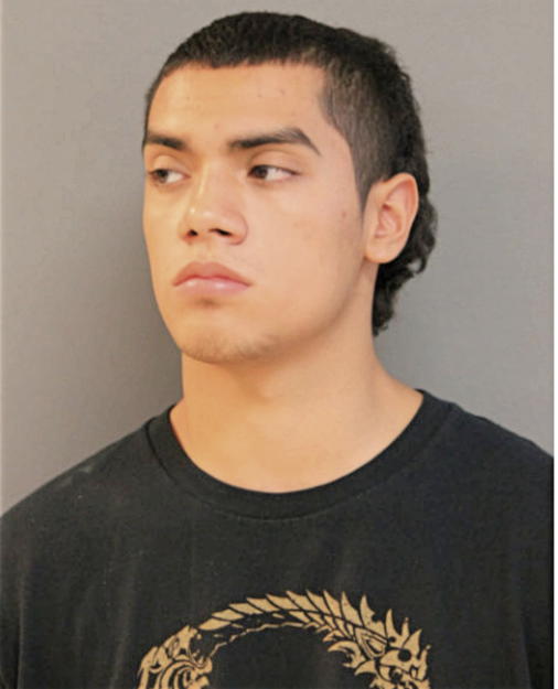 DAMIEN FERNANDEZ, Cook County, Illinois
