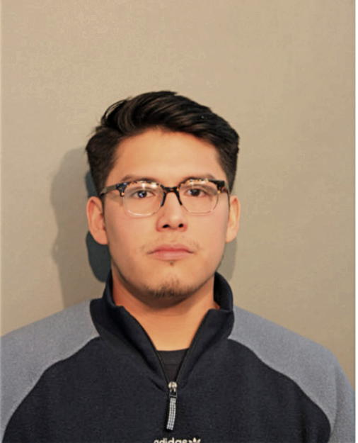 HECTOR O HERRERA, Cook County, Illinois