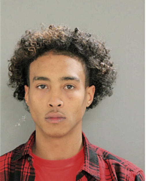 JUSTIN A IRVING, Cook County, Illinois