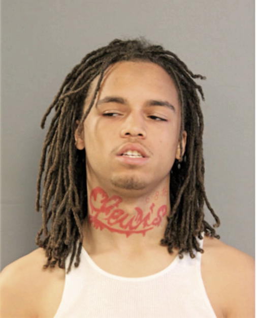 CHRISTOPHER T JOHNSON, Cook County, Illinois