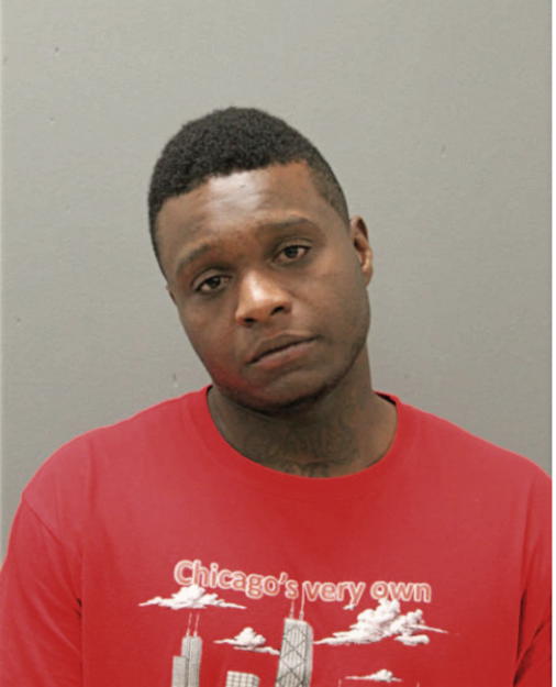 DANIEL M JOHNSON, Cook County, Illinois