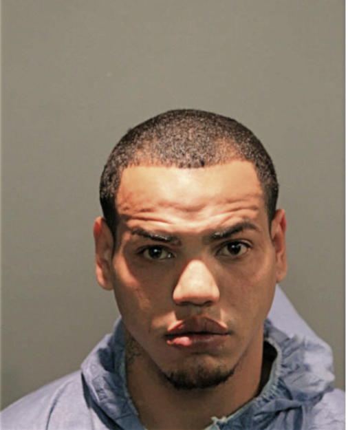 RAFAEL MARTIR-UBILES, Cook County, Illinois