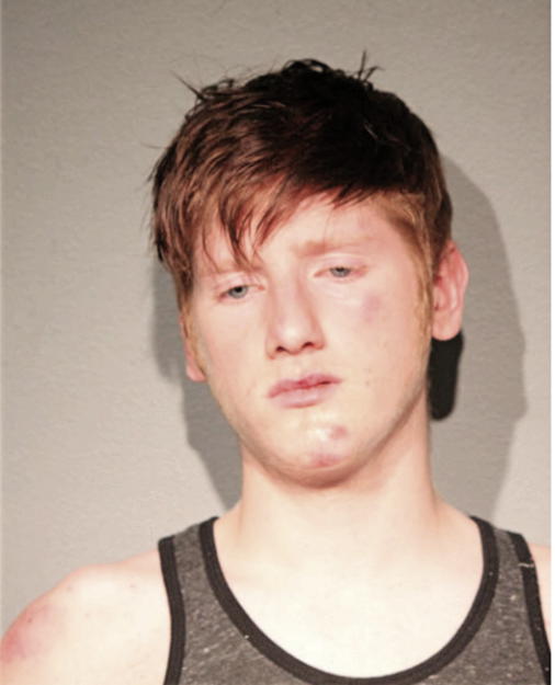 DAVID A MILLER, Cook County, Illinois