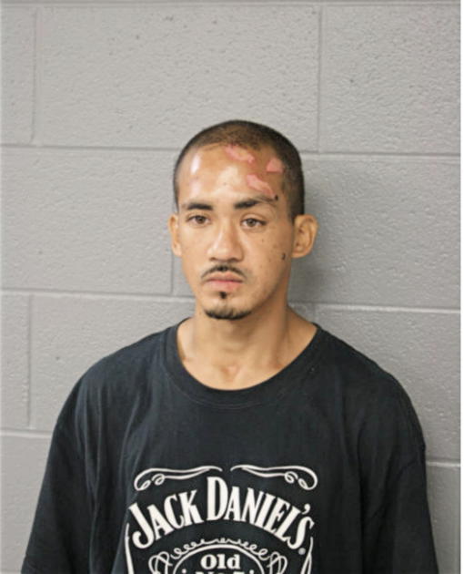 CESAR NAVARRETTE, Cook County, Illinois