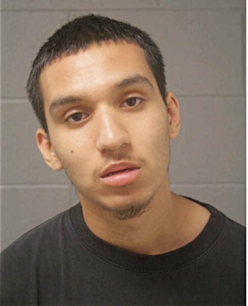 LIONEL OCHOA, Cook County, Illinois