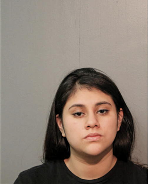 SALMA ORTIZ, Cook County, Illinois