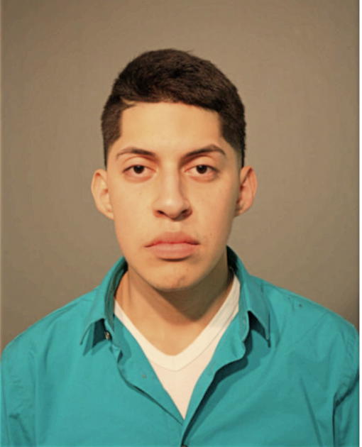 LUIS E ROMAN, Cook County, Illinois