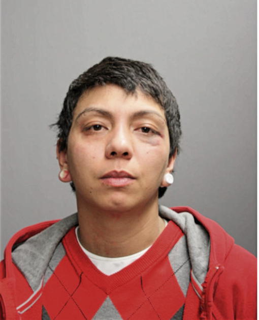 SHEILA K SISON, Cook County, Illinois