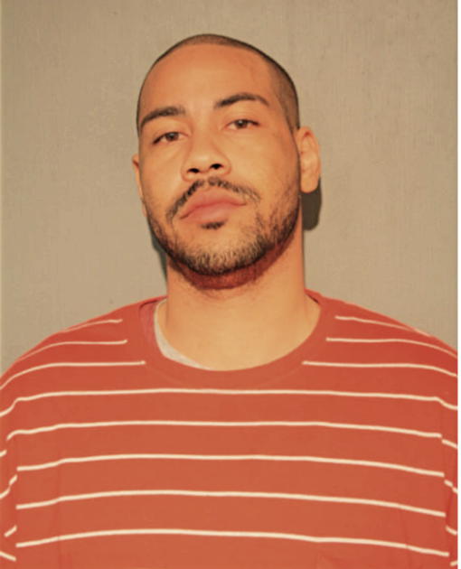 CHRISTOPHER C SYKES, Cook County, Illinois