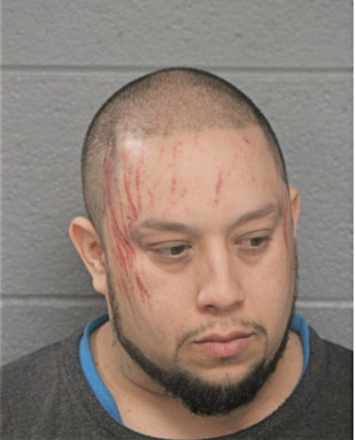 ELIAS TROCHE, Cook County, Illinois