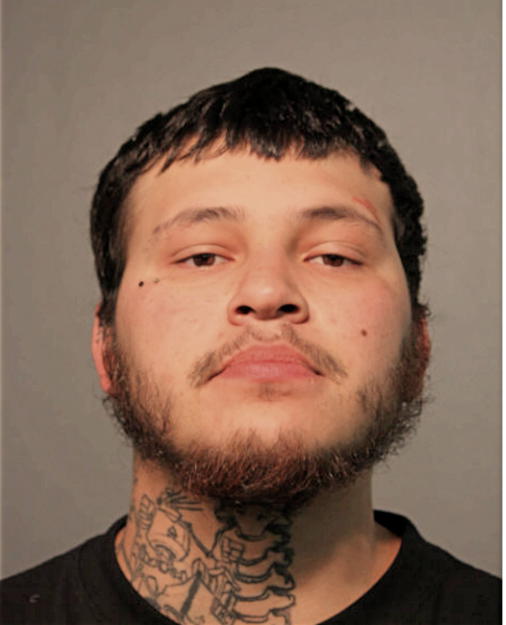 ABELARDO JR ZAPATA, Cook County, Illinois