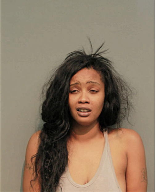 ASHLEY L BRIGGS, Cook County, Illinois