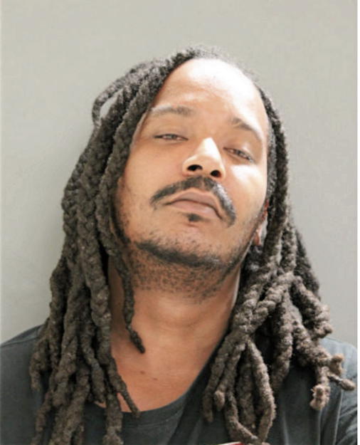 DAMIEN L BROWN, Cook County, Illinois