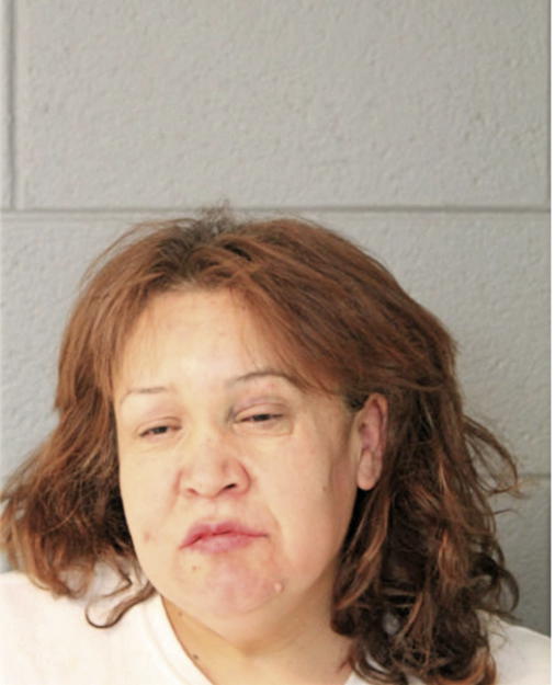 BERTHA A CHAVEZ, Cook County, Illinois