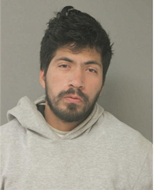 DANIEL DELGADO, Cook County, Illinois