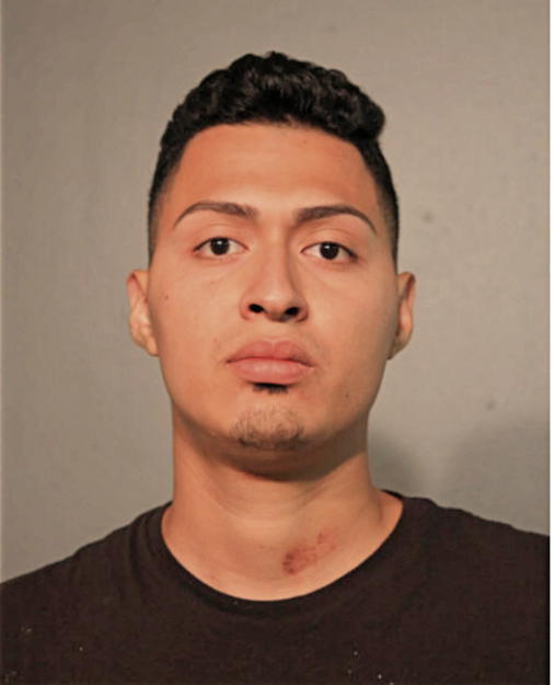 LUIS F FLORIAN-OLIVARES, Cook County, Illinois