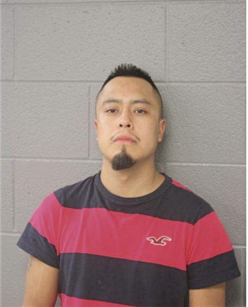 JOSE A GABRIEL, Cook County, Illinois