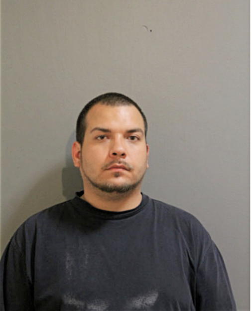 CAESAR J GONZALEZ, Cook County, Illinois