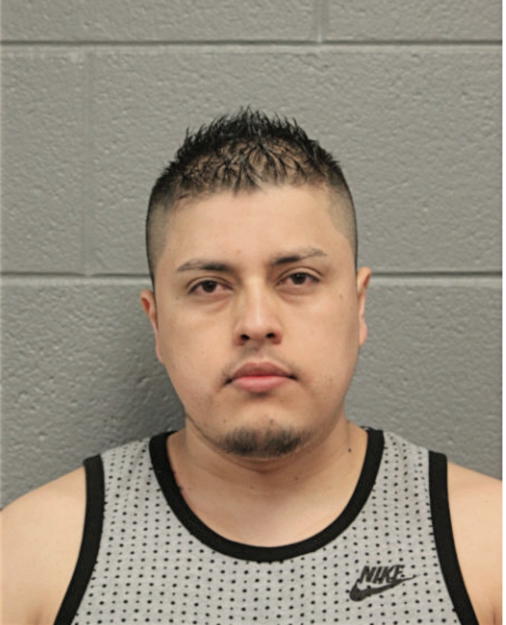 CARLOS A. GONZALEZ-VILLAGOMEZ, Cook County, Illinois